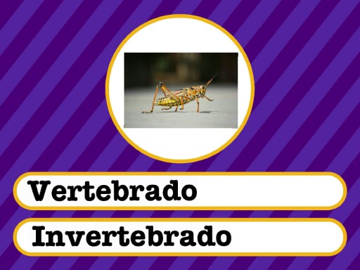 3er grado by T41carrodos Carrodos