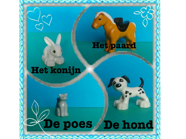 Ik leer Nederlands - de dieren door Amy uit Westdiep by Tablets Westdiep