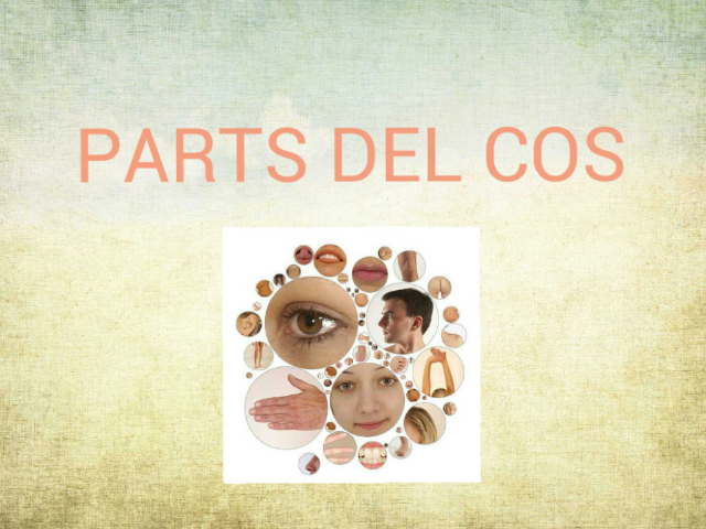 Monosíl.labs parts del cos by Quim Royes