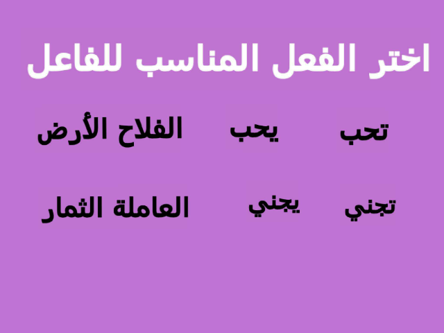 اللغة العربية by rasha ALKAMSH