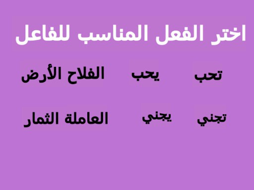 اللغة العربية by rasha ALKAMSH