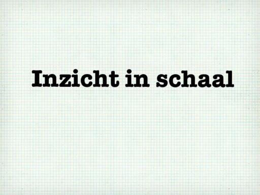 Inzicht in schaal by Selma