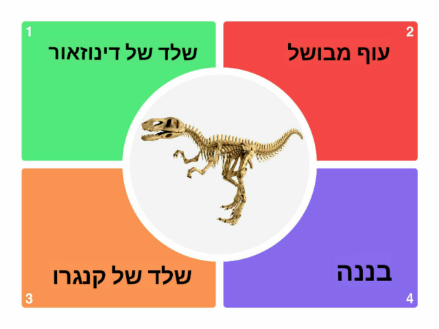 מה זה? by ערן צרפתי