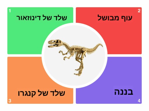 מה זה? by ערן צרפתי