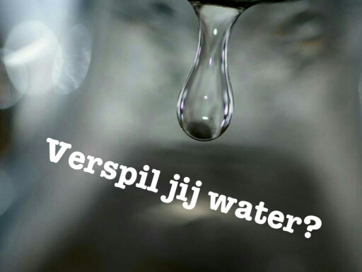 Water verspillen of niet? by Sarah Vermeulen