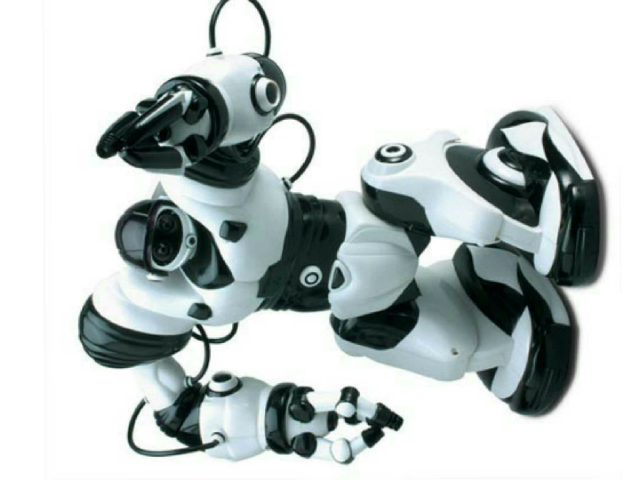 robots body by erika blanquez