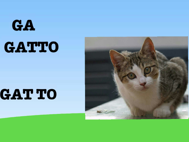 Grafemi  by Margherita Scotto Di Perta