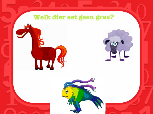 welk dier eet wat by Birgit Buvens