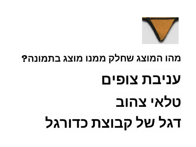 מוזיאון by Motti