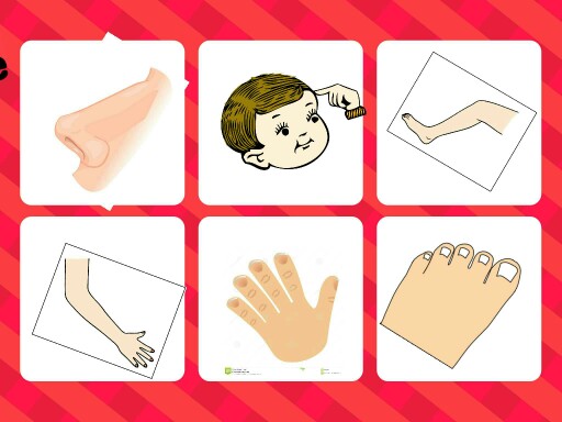 keha osad by Kairi Stepanova