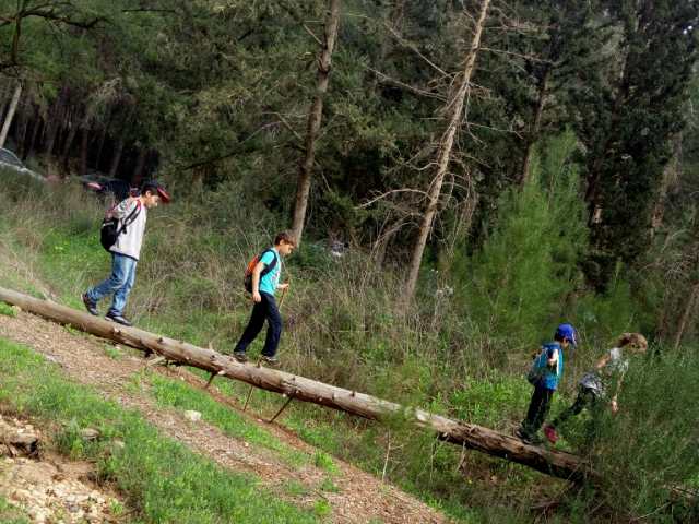 טיול משפחת סטון by Ran Stone