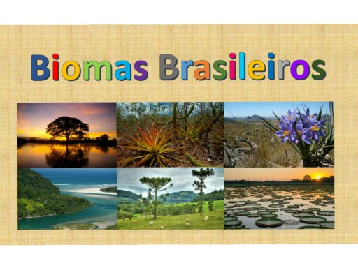 Biomas Brasileiros 3C/D by CSA Fund I