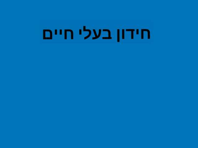 חידון בעלי חיים למתחילים  by soof taub