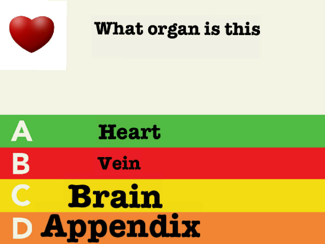 body sys by Hayden McDade