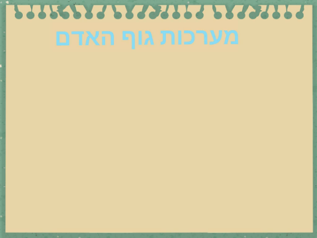 מערכות גוף האדם by shulamit