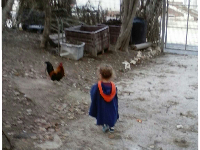 בךר by אלקנה גמליאל