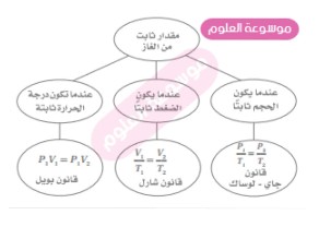 تركيب by Dana Faisal