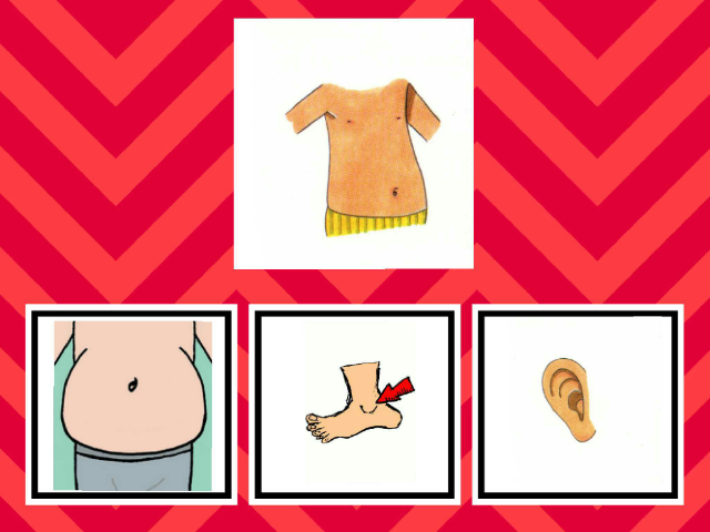 las partes del cuerpo by Leticia Cotarelo