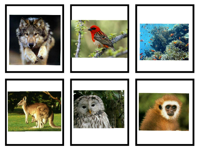 C groupe 5 by cpdlv cpdlv