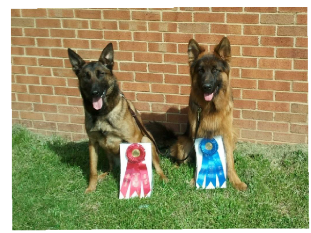 Ginger And Shawn Win At The Dog Olympics by hannah petton