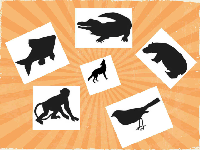 Reb mohamed Timothée ROMAN by cpdlv cpdlv