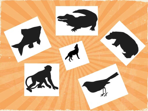 Reb mohamed Timothée ROMAN by cpdlv cpdlv