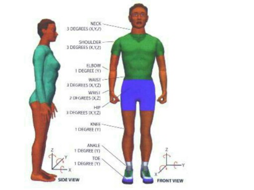 اعضاء  by Rawan Abu Remeileh