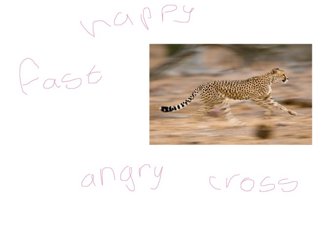 Animal Adjectives  by Jessie Kinghan