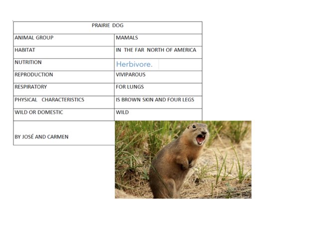 Animal Encyclopedia by Irene Arroyo