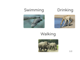 Animal Actions-TR by Jeyssa Se