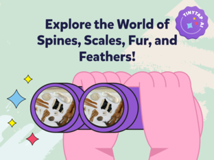 Animal Body Coverings by Zeinab