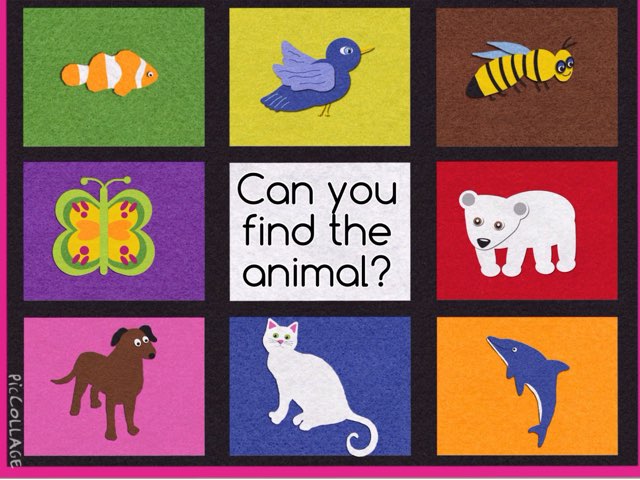 Animal by Nicole Pestell