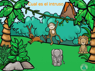 Animal Intruso by Teresa Cardozo