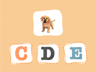 Animal Letter by Ode