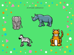 Animale sălbatice by malvina