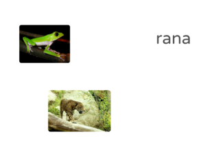 Animales by Natalia Reyes