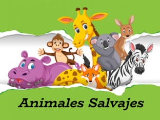 Animales Salvajes. by Geovanna Realpe