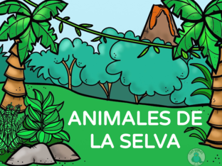 Animales Selva by silvia giampe