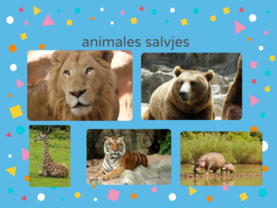Animales  by Pilar Gómez