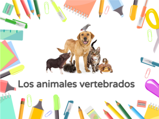 Animales vertebrados by Toñi Alvarado