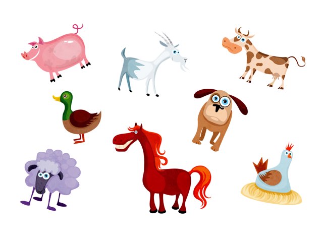 Animals And Sounds by Sara Fanning