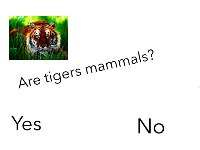 Animals By Logan And Issac by Linda Lonergan