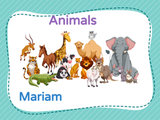 Animals by mariam alhammam