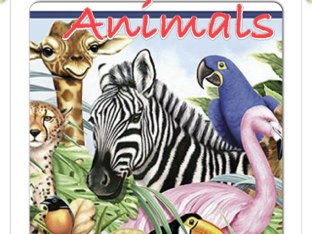 Animals by May Perdomo