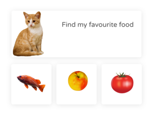 Animals by Sofia Sofia