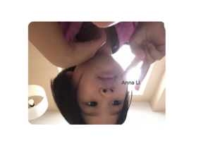 Anna Faces by Anna Li