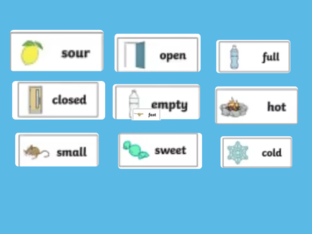 Antonym Or Synonym- Let's Find OUt by Ina Cty