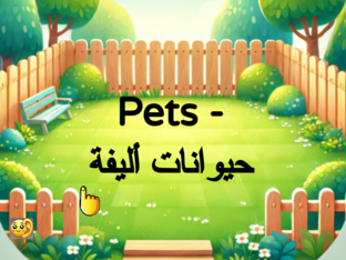 Arabic Vocabulary 5 - Pets by Albie Green