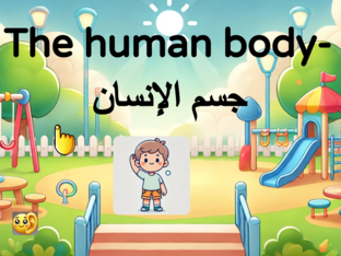 Arabic Vocabulary 8 - The Human Body by Albie Green