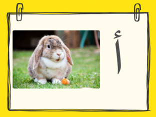 Arabic letters 1 by Arabic Reading